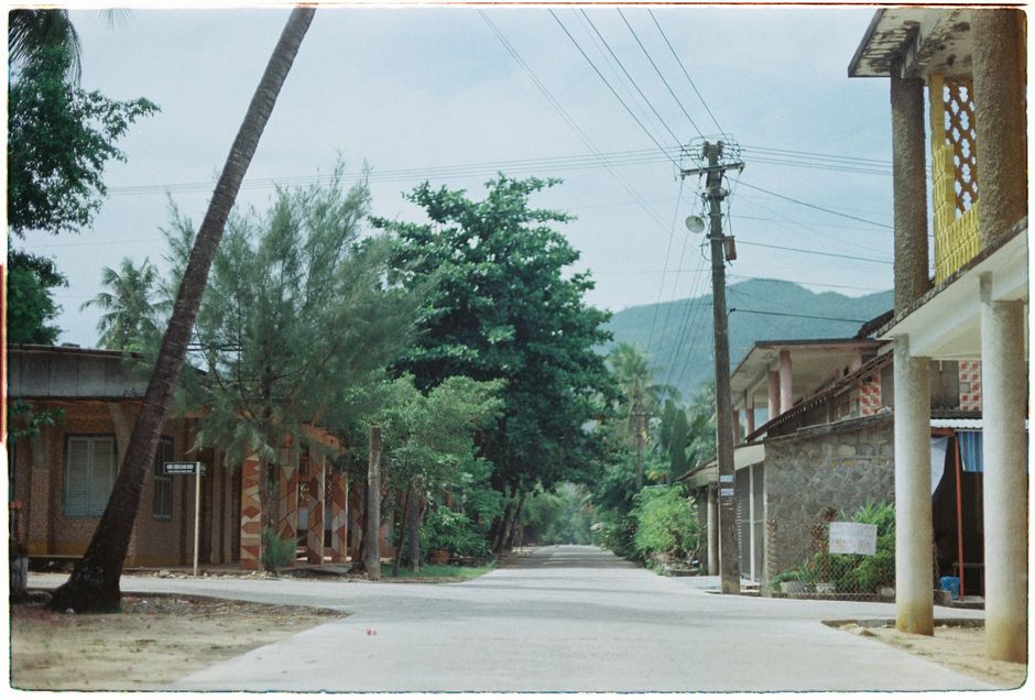 정돈된 도로와 야자수가 있는 거리